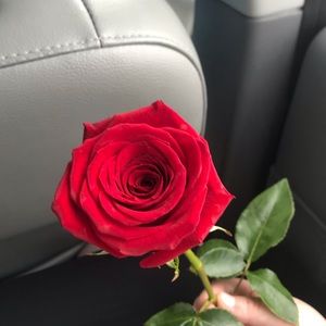 Meet your Posher, Destiny